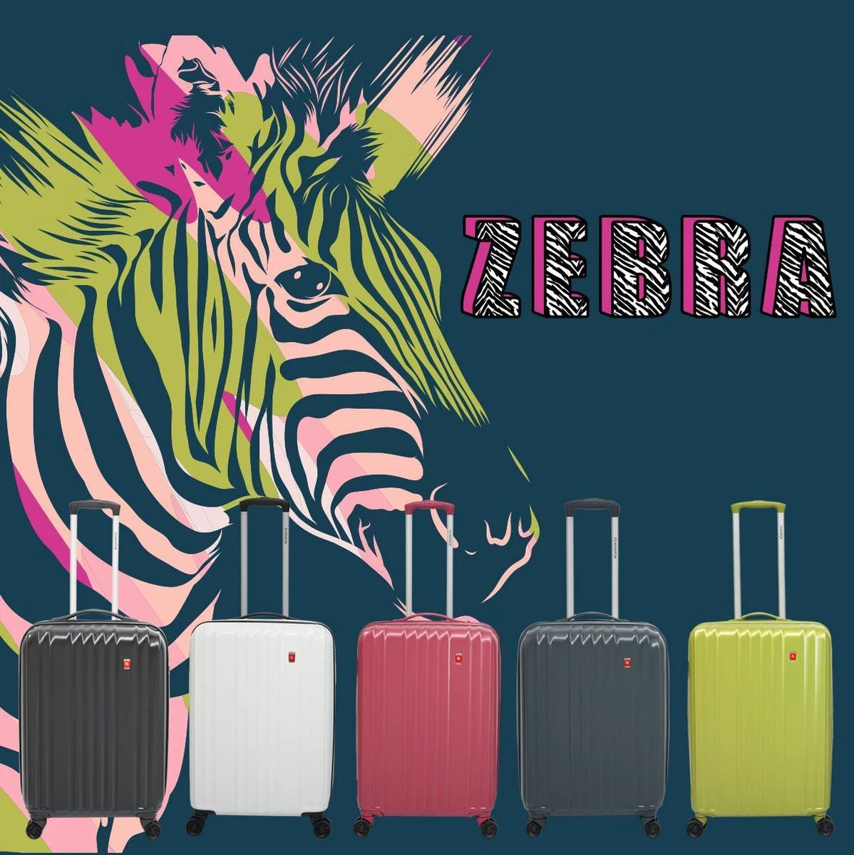 Gladiator Zebra L Spinner 78 Expandable - Zwart 8 Gladiator Zebra L Spinner 78 Expandable - Zwart - Afbeelding 8
